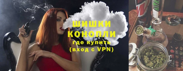 стафф Карпинск